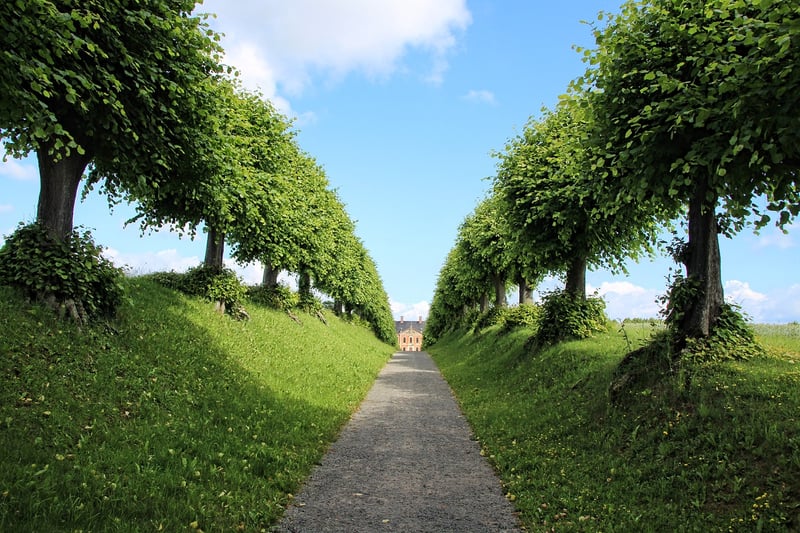 Garden Courtyard